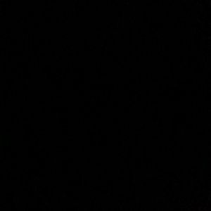 Meet your Posher, Rodrigo